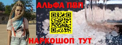 индика Сланцы