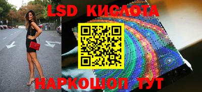 индика Сланцы