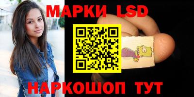 индика Сланцы