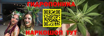 амф Славгород