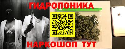 индика Сланцы