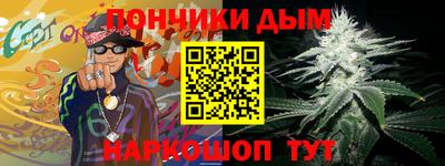 индика Сланцы