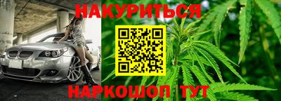индика Сланцы
