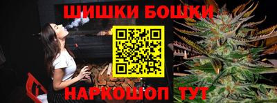 индика Сланцы