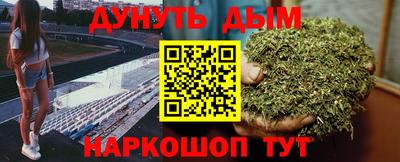 индика Сланцы