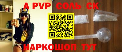индика Сланцы