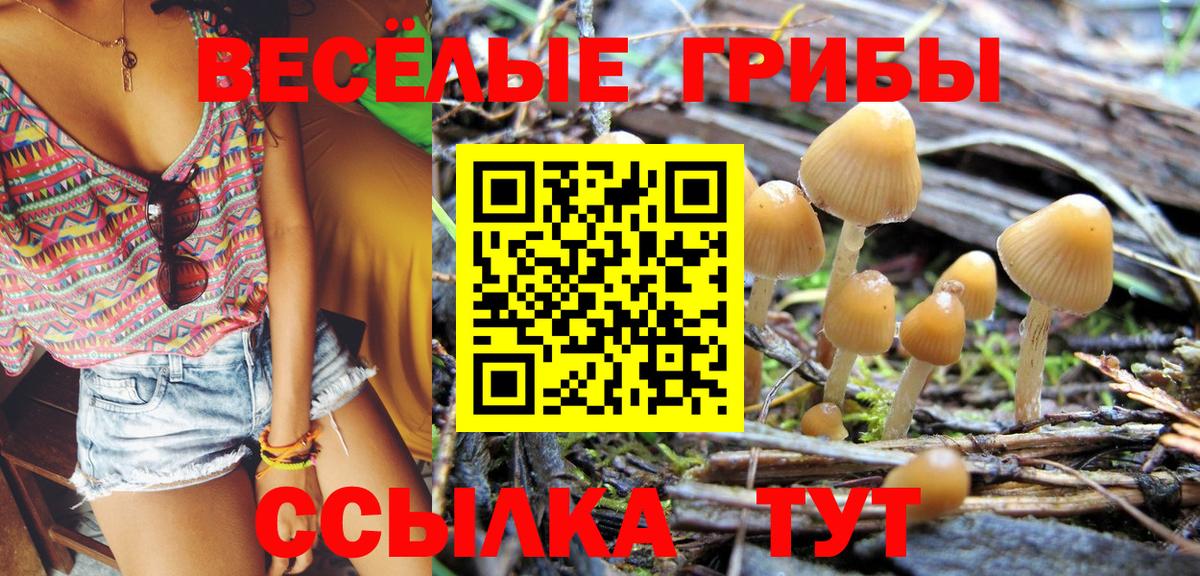 Острогожск  Псилоцибиновые грибы GOLDEN TEACHER  Вход с VPN 